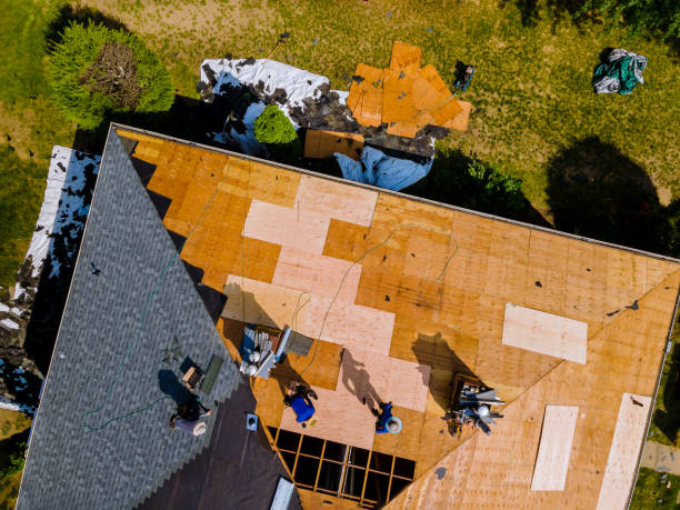 Best Roof Gutter Cleaning  in Harvey, MI