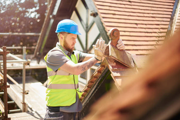 Best Roof Inspection Near Me  in Harvey, MI